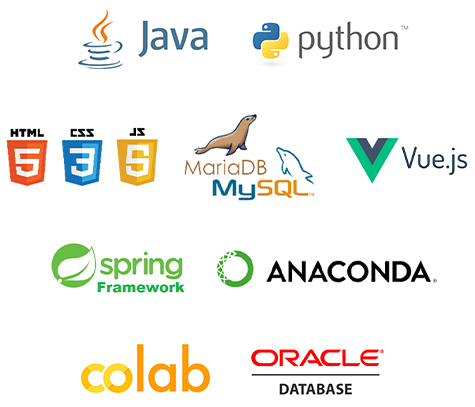 Java, Python, HTML, CSS, JS ,MariaDB MYSQL, Vue.js, Spring Framework, ANACONDA, Colab, ORACLE DATABASE